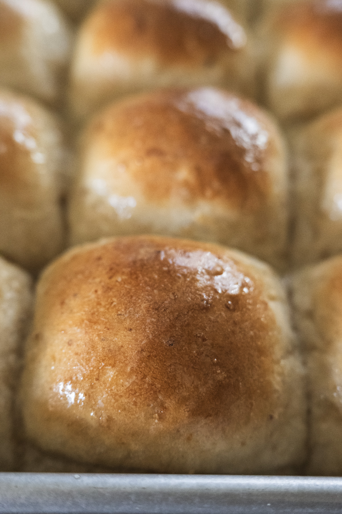 Oatmeal Dinner Rolls