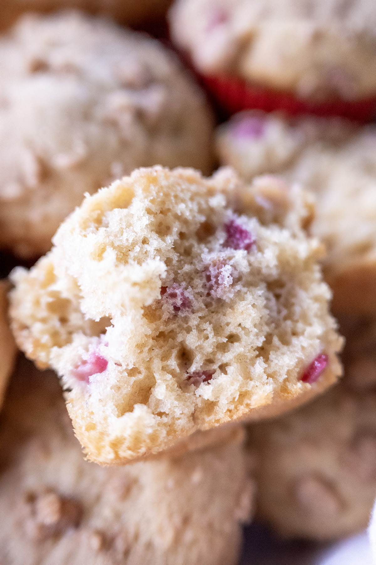 Irresistible Rhubarb Muffins with Streusel Topping