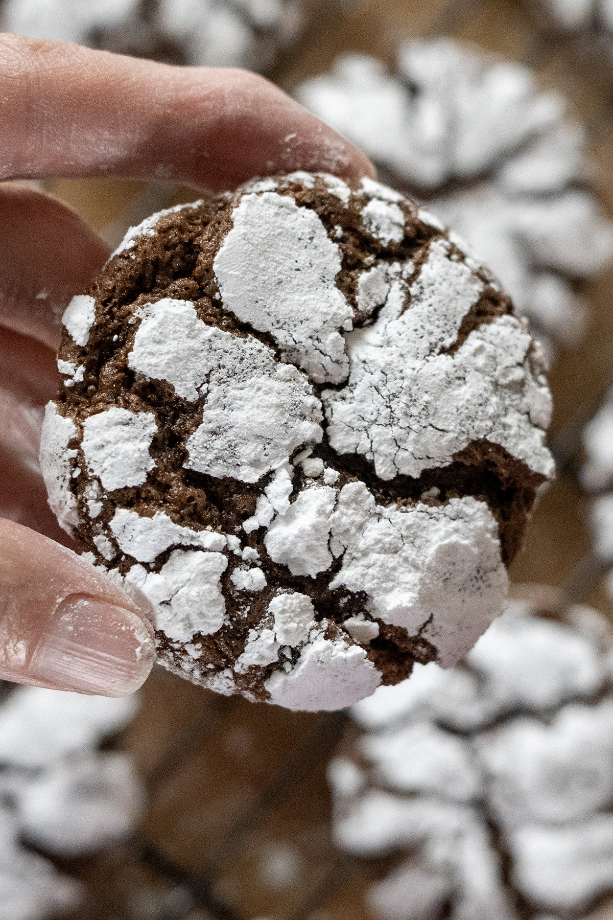 Double Chocolate Crinkle Cookies