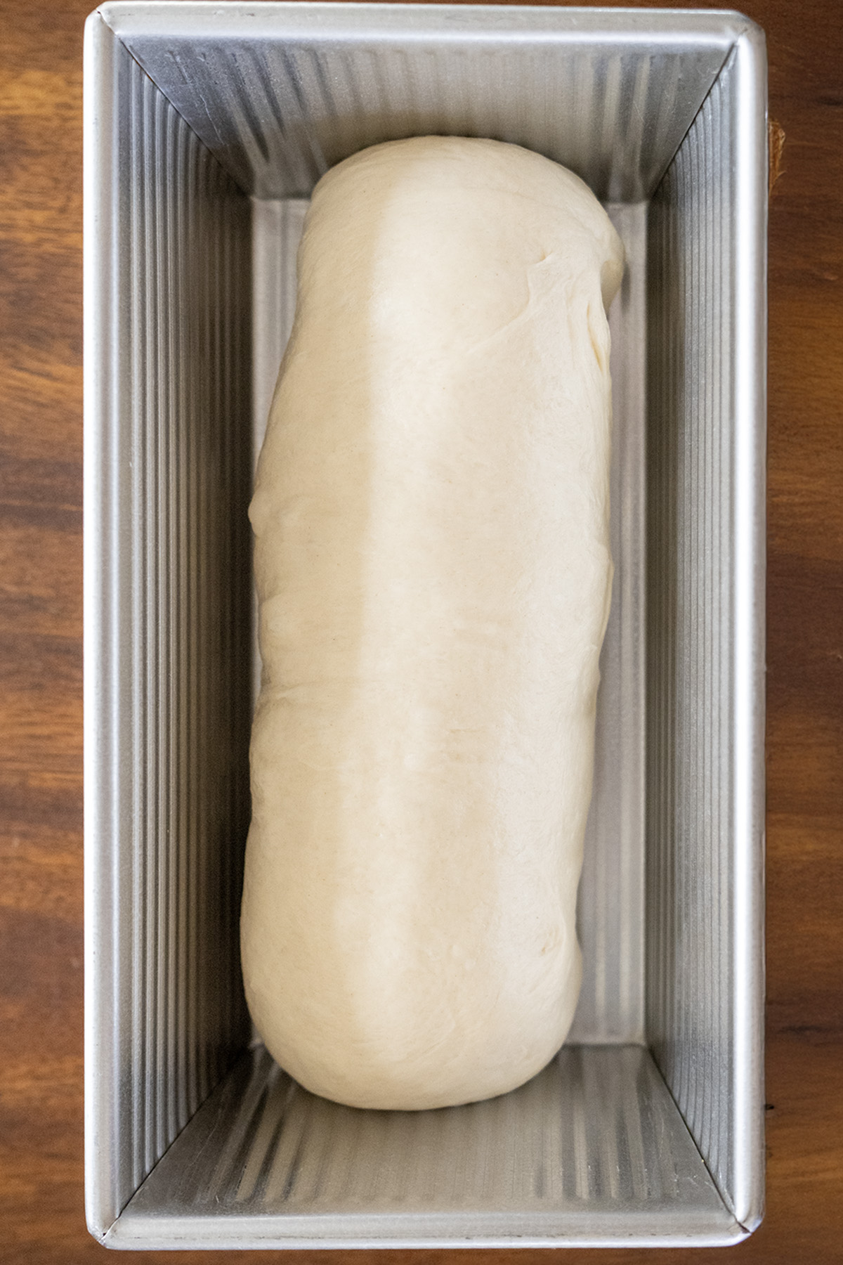 loaf of sandwich bread pre rise