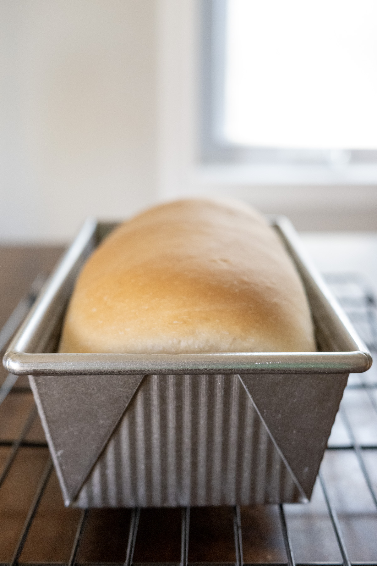 sandwich bread cooling in pan