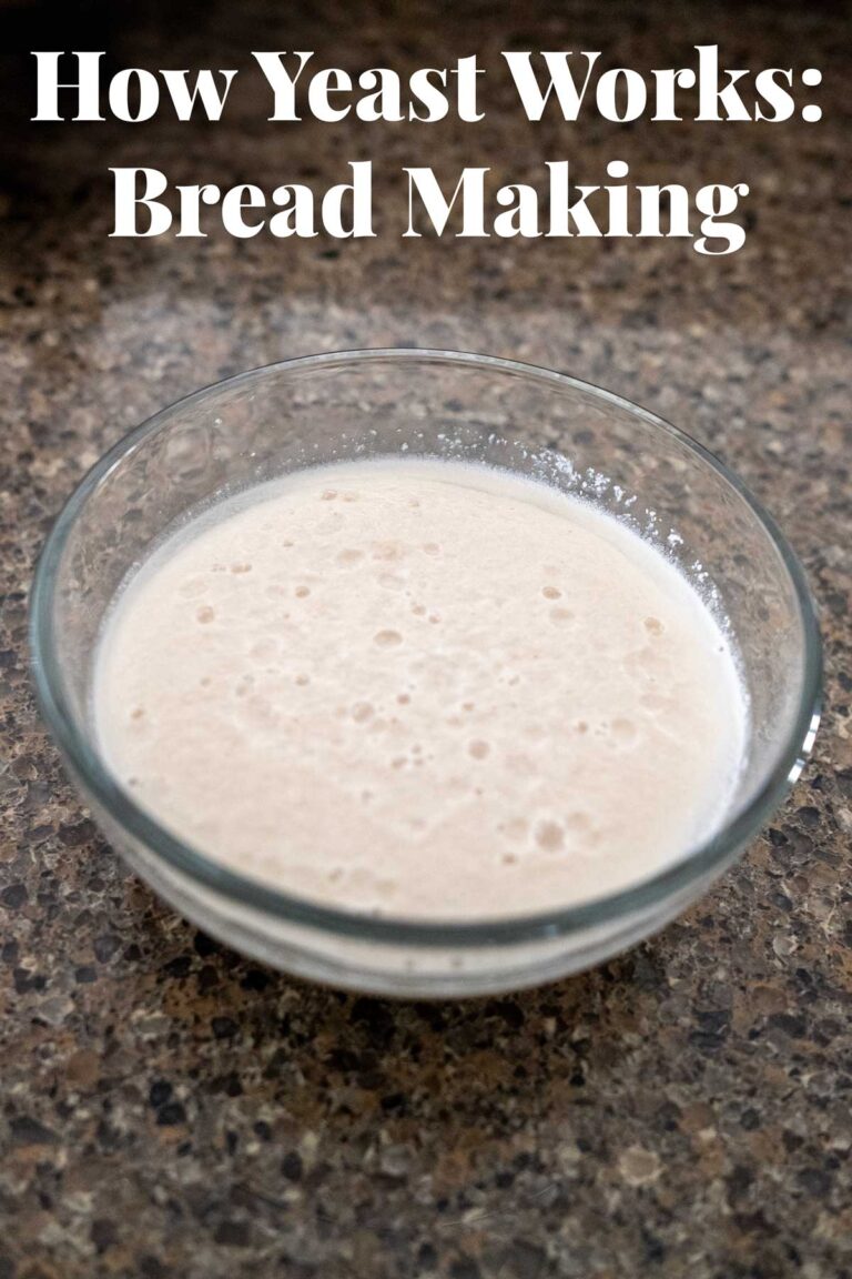 How Yeast Works in Bread Baking: The Magic Behind the Rise