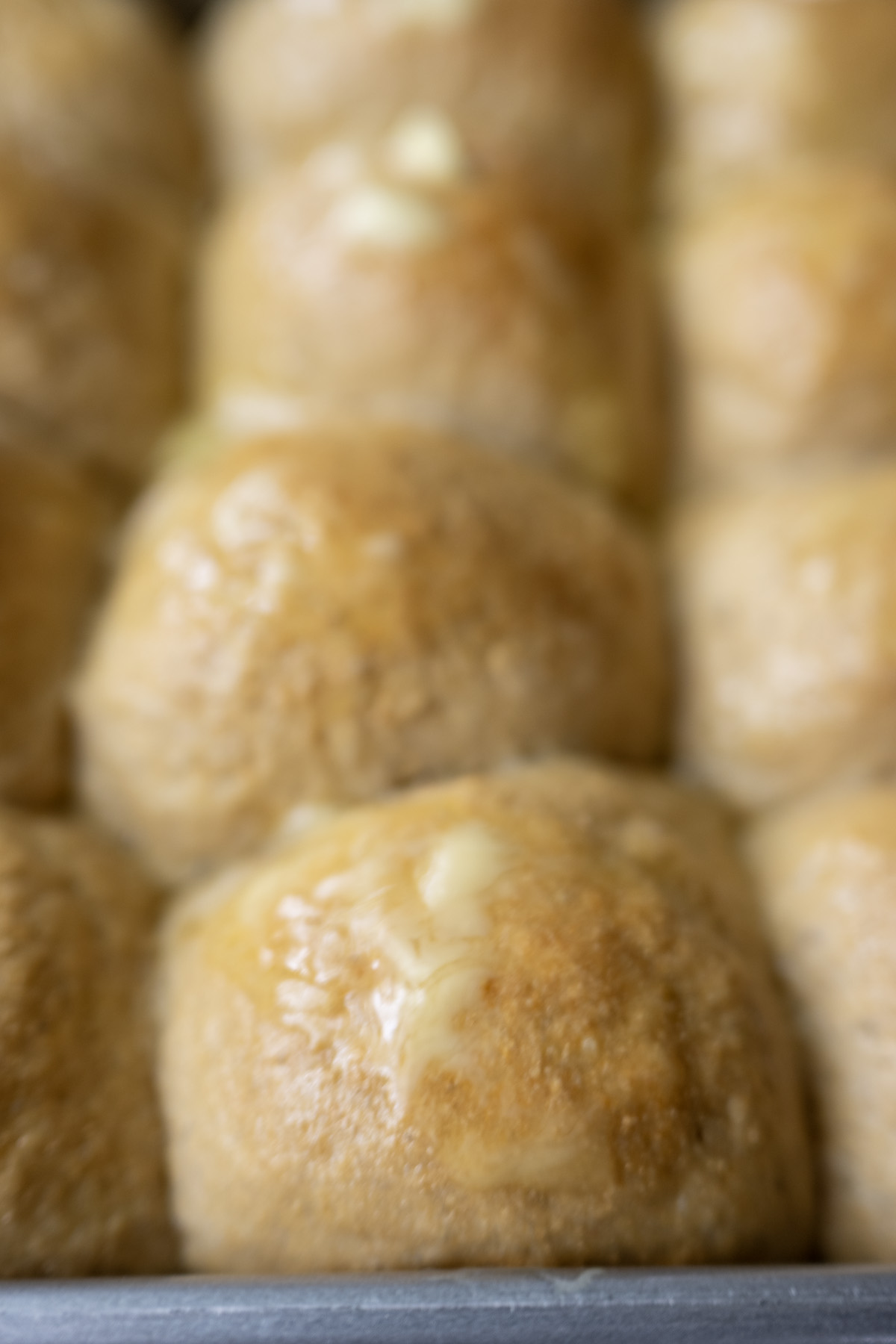 100% whole wheat dinner rolls