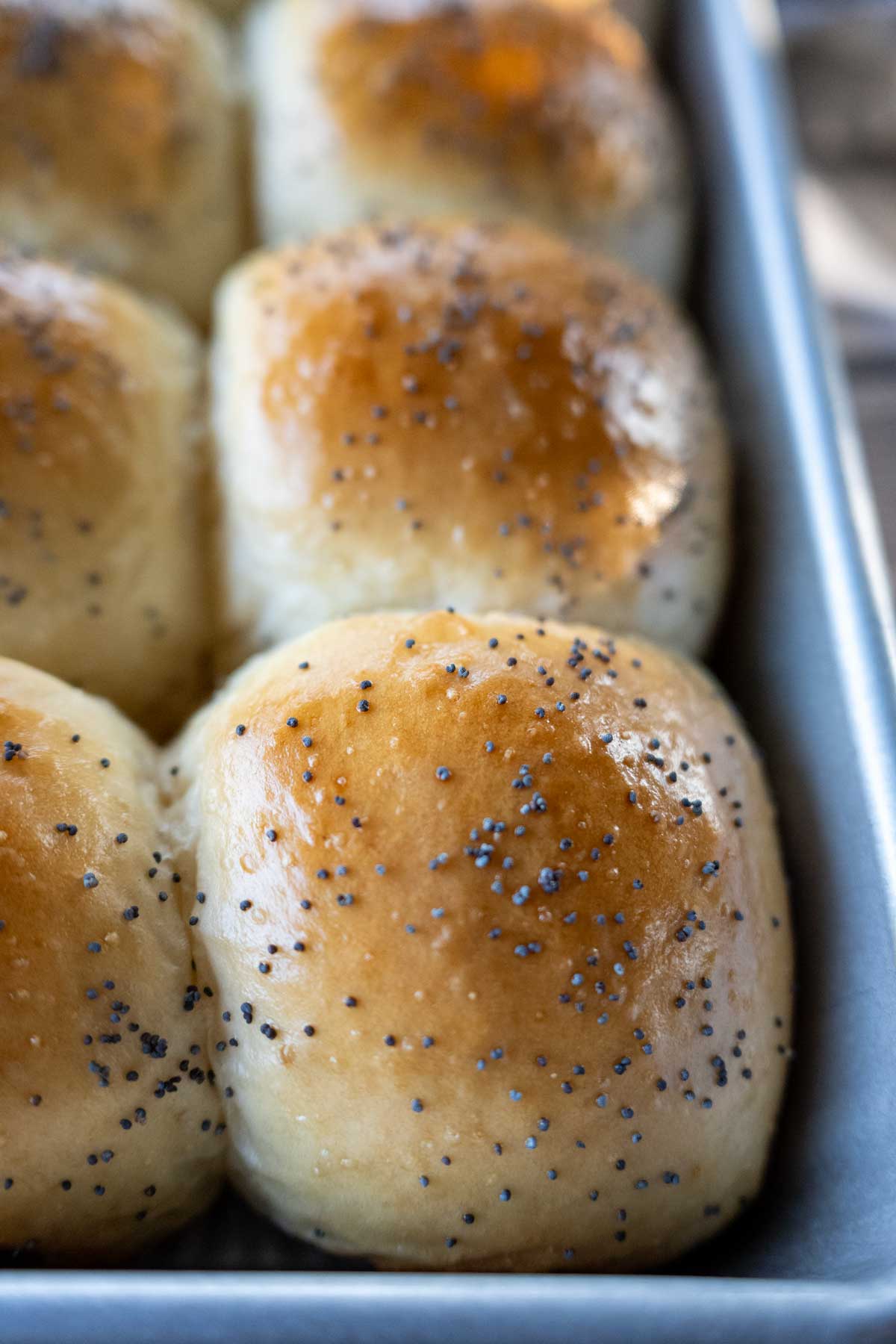 Hawaiian Roll Recipe