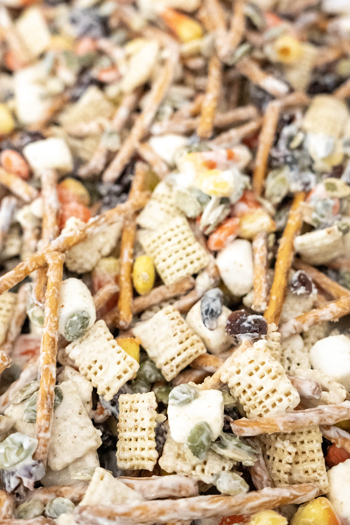 Cozy Fall Snack Mix