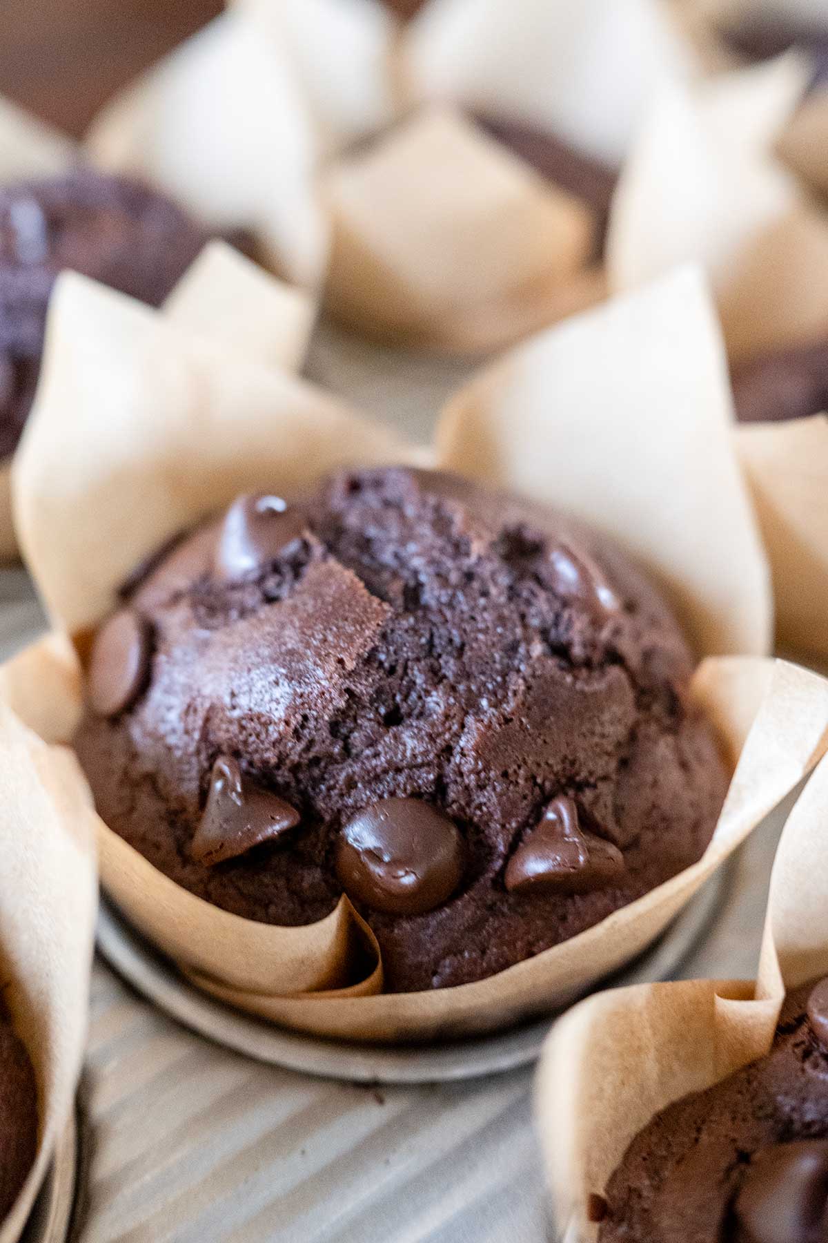 Ultimate Double Chocolate Chip Muffins